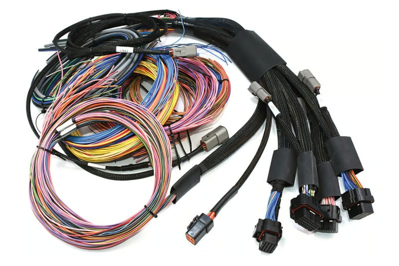 Haltech Nexus R5 + Universal Wire-in Harness Kit 5M